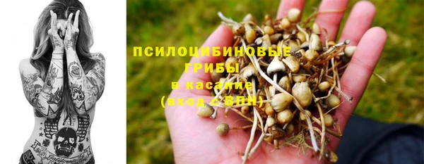 прущая мука Инта