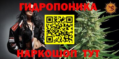 скорость Будённовск
