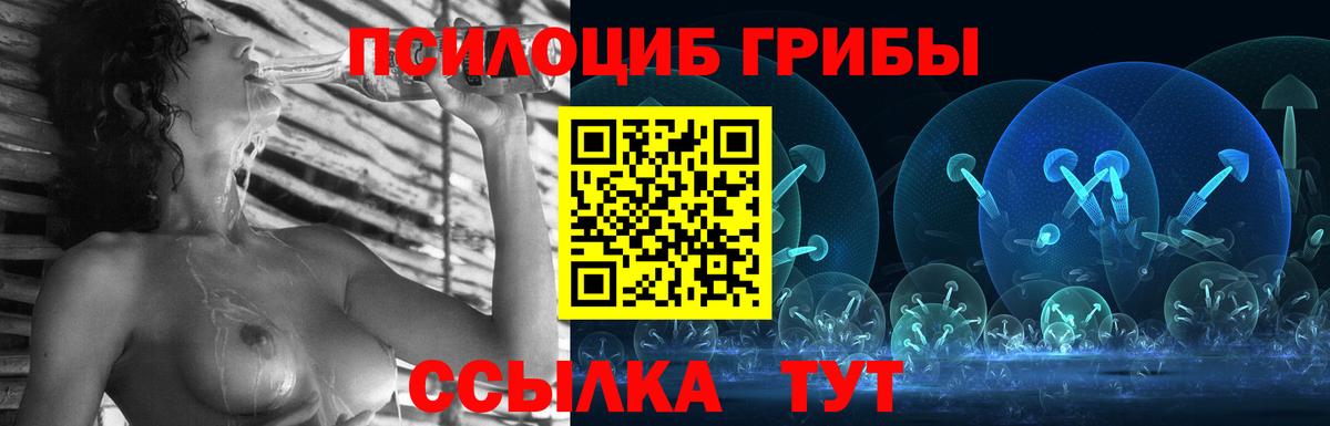 Псилоцибиновые грибы Psilocybine cubensis Коломна